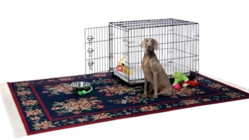 Prevue Pet Products Home On-The-Go Single Door Dog Crate E433, Medium, Black, Portable, Stability, Secure, Durable, Lightweight,